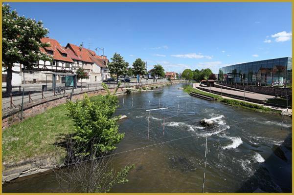 Au Bon Vieux Port Maison De Vacances Alsacienne A 10Mn De Ribeauville, Riquewihr Et Kaysersberg セレスタ エクステリア 写真