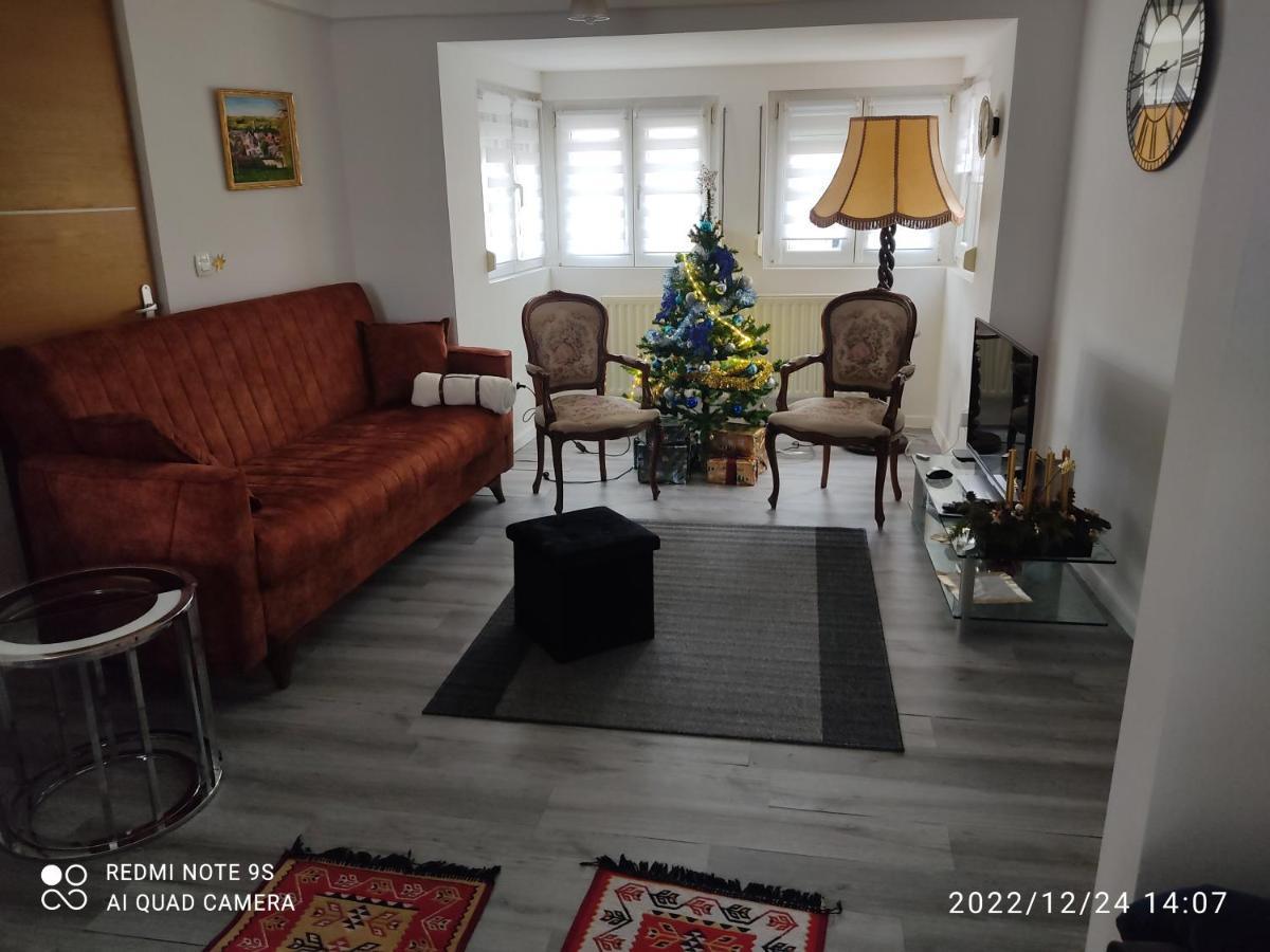 Au Bon Vieux Port Maison De Vacances Alsacienne A 10Mn De Ribeauville, Riquewihr Et Kaysersberg セレスタ エクステリア 写真
